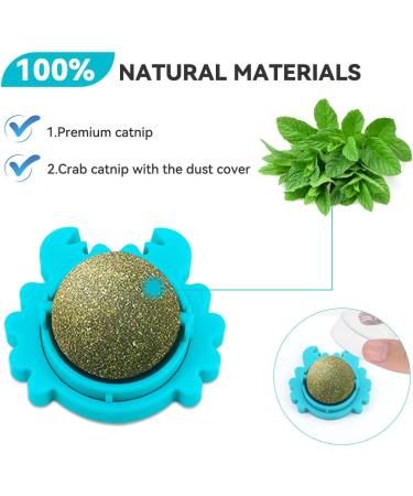 AUCENIX Cattion Mist Balls - Edible Dental Toys for Cats | Natural Rotating Cat Toys & Wall Rollers for Kittens (Blue) - Buy Online on GoSupps.com