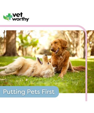 Vet Worthy Liquid Bandage for Dogs - Dog Wound Care Solution with Aloe Vera - 4oz - Buy Online on GoSupps.com