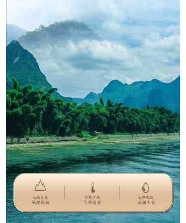  HQZMCTE Natural Chinese Herbal Tea Health Tea 50g (1.76oz) Dried Polygonatum Odoratum Yuzhu Herbals Sulfur-Free - Buy Online on GoSupps.com