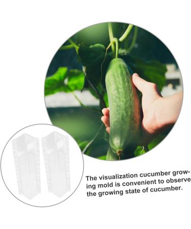 SUPVOX Cucumber Shaping Molds 2pcs Kit Stereotypes Snow DIY Forming for Rectangle Former Shaped Supplies Plastic Growing - Buy Online on GoSupps.com