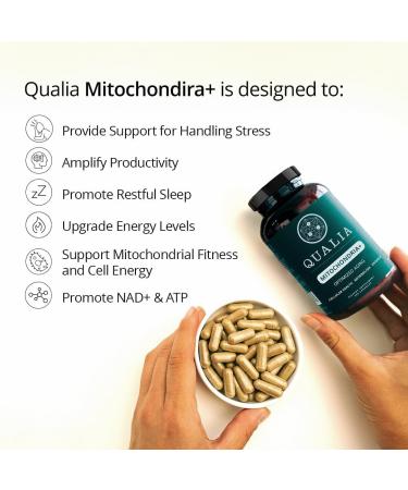 Qualia Mitochondria+ | The Most Advanced Supplement for NAD+, Cellular Energy, Metabolism & Repair for Better Aging w/35+ NAD Boosters Resveratrol & More | 160 Ct | 1 Month Supply - Buy Online on GoSupps.com