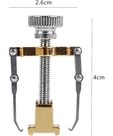 Risingmed Ingrown Toe Nail Correction Tool Pedicure Tool Care Nail Orthosis Armor Corrector Roll a Cover Correction Device Paronychia Special Pedicure Tools - Buy Online on GoSupps.com