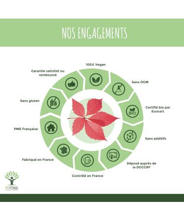 Vigne rouge Bio - Compl ment alimentaire Bioptimal - Jambes Lourdes Peau Saine Circulation Sanguine H morro des - 300 mg de Feuille de Vigne x g lule - Made in France - Certifi Ecocert - 60 g lules 60 unit (Lot de 1) - Buy Online on GoSupps.com