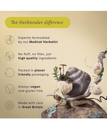 The HERBTENDER Doze & Dream: Vegan Adaptogenic Wellness Supplements for Relaxation and Sleep - Reishi Mushroom & Ashwagandha (60 Capsule Glass Jar) - Buy Online on GoSupps.com