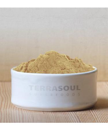 Terrasoul Superfoods Organic Amla Berry Powder (Amalaki) 2 Lbs - Antioxidant Vitamin C | Immunity Support - Buy Online on GoSupps.com