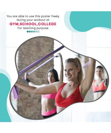 SPORTAXIS- No-Equipment Laminated Resistance Band Workout Poster with Colored Illustrations- Home Workout Poster for Men and Women - Advanced Home Training Wall Poster (18" x 27") - Buy Online on GoSupps.com