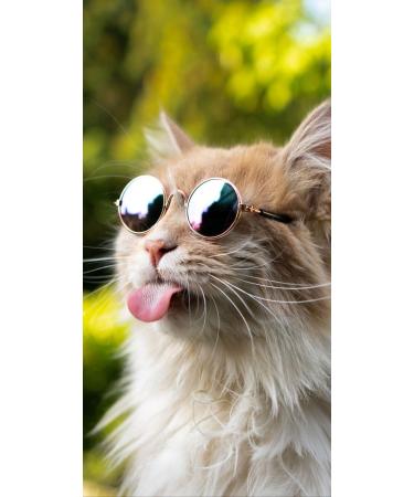 oman Insgfdin Plant Leaves Tea - 50000g | Herbal Tea For Diabetes | Controls Blood Sugar Levels | Costus Igneus | Caffeine Free Tea For Diabetics | 50 Cups - Buy Online on GoSupps.com