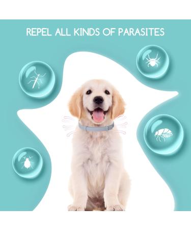 Nobleza Dog Tick Collar - 2 PCs Waterproof Adjustable Up to 8 Months Flea & Tick Protection 100% Natural Ingredients - Best for International Shipping - Buy Online on GoSupps.com