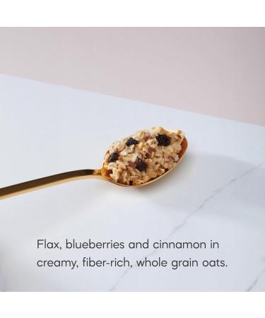 Nature's Path Organic Blueberry Cinnamon Flax Oatmeal 320 g (Pack of 6) Non-GMO - Buy Online on GoSupps.com