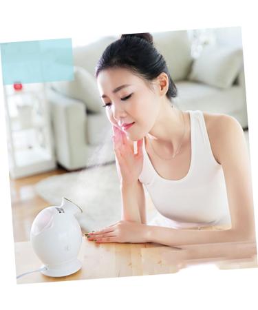 SOESFOUFU 1pc Pore Cleaner Portable Face Steamer Hair Steamer Humidifiers for Home Face Steamer Sprayer - Buy Online on GoSupps.com