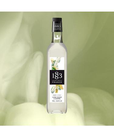 1883 Maison Routin Premium Cane Sugar & Gomme Syrup 700ml - Ideal for Cocktails, Mocktails, Coffee & Iced Tea - Pack of 1 - Buy Online on GoSupps.com