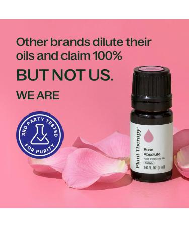 Plant Therapy Rose Absolute Essential Oil 5 mL (1/6 oz) 100% Pure Undiluted Calming & Emotionally Grounding Great Essential Oil for Skincare 0.16 Fl Oz (Pack of 1) - Buy Online on GoSupps.com