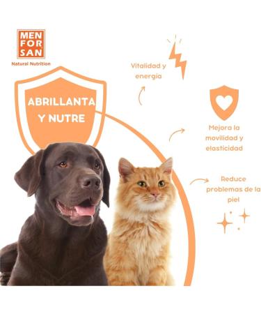 MENFORSAN 3-in-1 Supplementary Feed for Dogs and Cats - 500ml | Premium Pet Nutrition | International Shipping - Buy Online on GoSupps.com