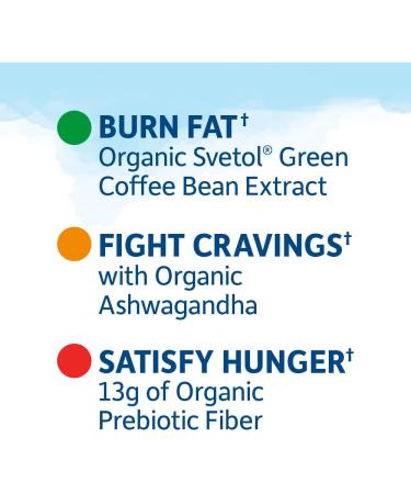 Garden of Life Organic Fit High Protein Weight Loss Bar - Peanut Butter Chocolate (12 Bars, 1.94 oz) - Buy Online on GoSupps.com