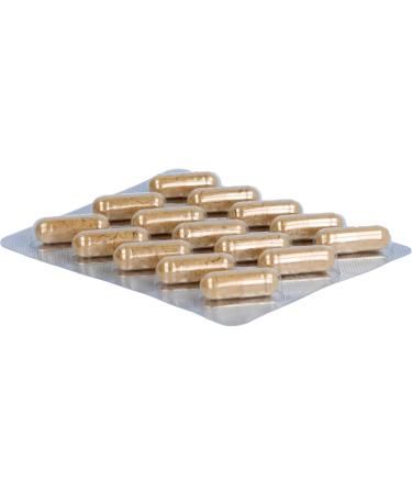 Andrographis Paniculata Capsules | 60 Count - Immune Support Supplement | Fast International Shipping - Buy Online on GoSupps.com