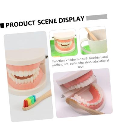 Healvian 2 Sets Early Dental Education Toys - Wooden Reusable Clean Model for Preschool Learning | International Shipping - Buy Online on GoSupps.com