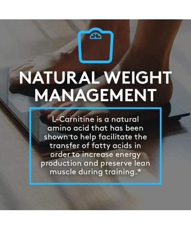 RSP L-Carnitine 500mg Weight Loss Supplement - Non-Stimulant Metabolism Booster for Men and Women - Amino Acid Workout Diet Pills - 120 Capsules - Buy Online on GoSupps.com