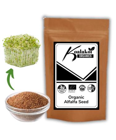 Koalakoi Organic Certified Alfalfa Seed (100g - 4.5kg) Easy to Sprout Super Nutritious Highly digestible Fibre Alfalfa | Premium Quality Non-GMO 100% Natural no Additives or Preservatives (100g)