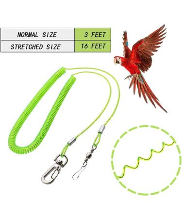 Parrot Bird Harness Leash with Training Rope, 5 Soft Foot Loops, and Whistle - Anti-bite Outdoor Flying Training (Upgraded Ankle Ring) - Buy Online on GoSupps.com