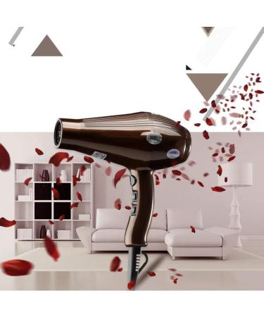 2300W Power Ionic Hair Dryer Professional Salon Dry Hair Hairdryer with Concentrator 2-Speed and 3 Temperature Settings Cool Shot Function AC Motor Powerful Quick Drying Hanging Loop Brown Small Gift - Buy Online on GoSupps.com