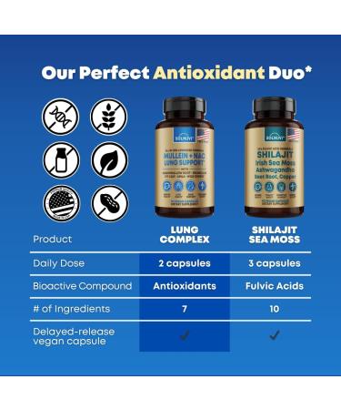 Mullein Leaf Extract & NAC Lung Detox Cleanse- N-Acetyl Cysteine Marshmallow Root Bromelain - Lung Health Sinus Mucus Removal Support Supplement for Smokers - 90 Capsules Non-GMO Gluten-Free - Buy Online on GoSupps.com