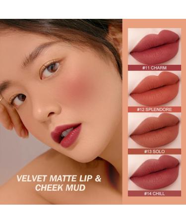drburpily Matte Lipstick Long Lasting Smudge Resistant Blusher Lip Mud Makeup for Dual Use Type 5 - Buy Online on GoSupps.com