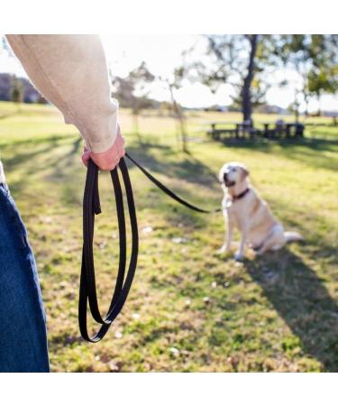 Company of Animals 10m Recall Line: Best Dog Training Equipment for Recall Training & Socialization - Ideal for Small, Medium & Large Dogs - Buy Online on GoSupps.com
