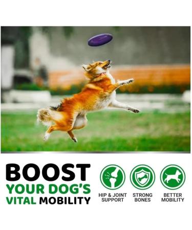 Glucosamine for Dogs - Buy Online on GoSupps.com