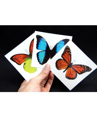 12 Sheets Large Butterfly Temporary Tattoos by Butterfly Utopia - 12 Count Pack - Buy Online on GoSupps.com