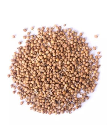 LA PLANTIGO Coriander 100 g - LA PLANTIGO
