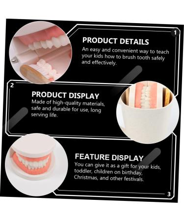 Buy Beavorty Learning Toothbrush Toys for Early Teething | Pedagogical Tooth Cleaning Model for Preschool - Buy Online on GoSupps.com