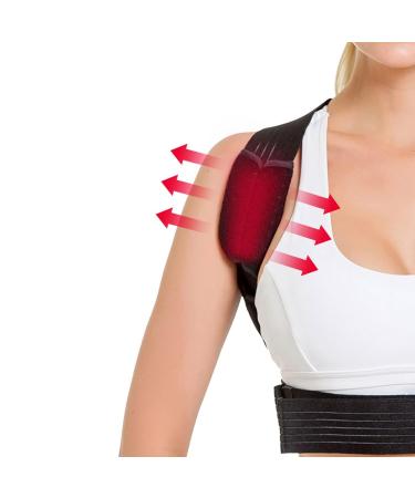 Posture Corrector Back Support Brace For Men Women Back Pain Relief Back Support Belt Breathable Adjustable Belt For Lifting Scoliosis Herniated Disc Sciatica Corrector (Size : M) - Buy Online on GoSupps.com