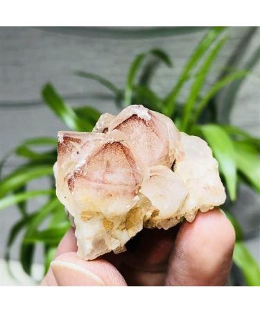 Natural Crystal Rough Stone 50g Natural Red Ghost Pyramid Quartz Crystal Cluster Specimens Balance Gemstone Decoration - Buy Online on GoSupps.com