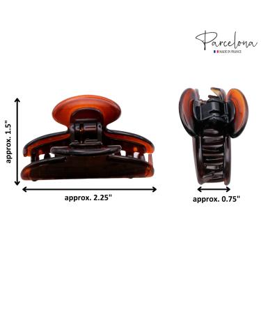 Parcelona French Glossy Oval Small Celluloid Hair Claw Set | No Slip Grip | Made in France | Tortoise Shell Brown - Buy Online on GoSupps.com