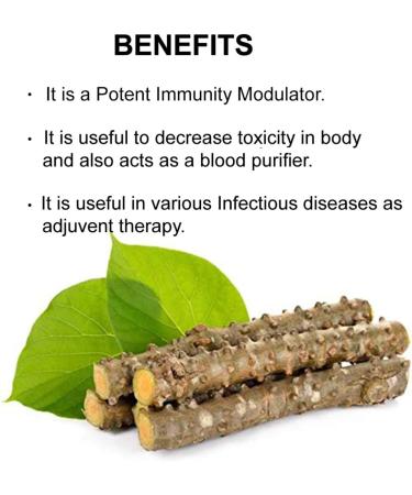 Guduchi Powder 200g (7 oz) | Immunity Modulator & Blood Purifier | Herbal Supplement for Detoxification - Buy Online on GoSupps.com