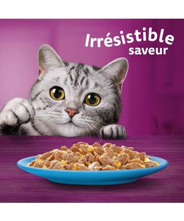 WHISKAS Cat Meals - 48 Fresh Sachets (Pack of 2 Packs 24x85g) - Favorite Fish (4 varieties) - Cat Pate - Buy Online on GoSupps.com