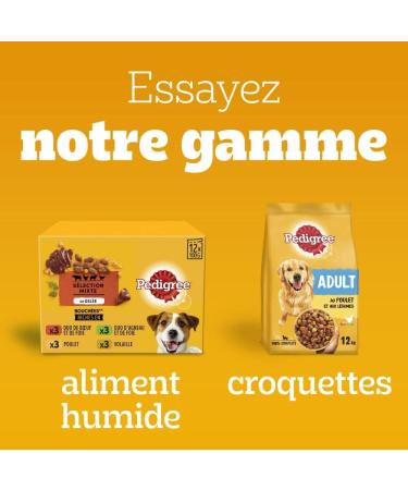 Pedigree Multivitamins Digestion Food Supplements for Dogs - Treats with Probiotics 36x180g Sachet Rewards That Help Maintain Good Digestion Easy to Eat - Buy Online on GoSupps.com