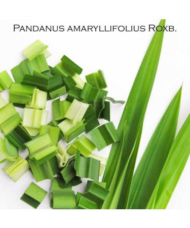  Kitama KITAMA Dried Pandana Leaves 100g - Natural Thai Flavor - For tea rice desserts and Asian cuisine - Pandan leaves - Bai Toey - 100% natural - Buy Online on GoSupps.com