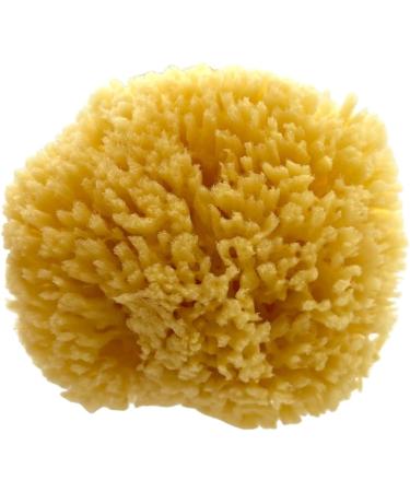 ideelz XFO Sea Sponge (Medium 4.5) - All Natural Yellow Loofah Sponge for Bathing and Exfoliating | USA Grown - Buy Online on GoSupps.com