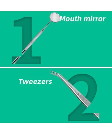 AP.DISHU 6-Piece Tooth Cleaning Set - Premium Stainless Steel Tartar Remover Dental Probe Scaler & Anti-Fog Mirror | Ships Internationally - Buy Online on GoSupps.com
