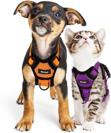 Breakproof Cat Leash Set & Adjustable Soft Vest for Kittens - Reflective Stripes & Purple Dishes (Small) - Buy Online on GoSupps.com
