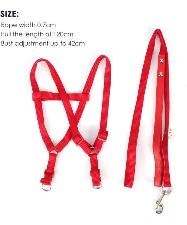 Felenny Bird Dishes & Adjustable Leash - Essential Outdoor Accessories for Scarlet Red Ara Sun Conure & Nymphensittich - Small Anti-Bite Solutions - Buy Online on GoSupps.com