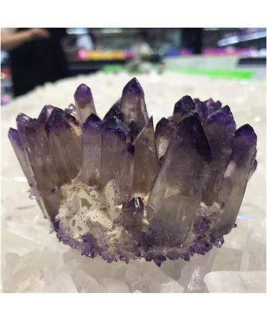 Natural Crystal Rough Crystal Gift Collectionn 1pc Natural Purple Crystal Cluster Stone geomantic furnishings degaussing Transfer Home furnishings Amethyst Home CrystalMeditation Gift (Size : 430-450 430-450g - Buy Online on GoSupps.com