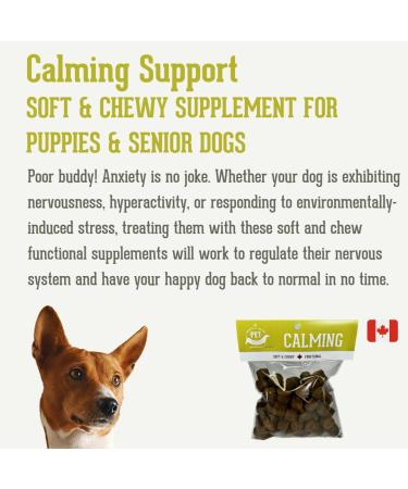 The Granville Island Pet Treatery Soft & Chewy Supplement Calming Supplement for Dogs Perfect Hemp Based Supplement for Puppies & Senior Dogs Made in Canada Beef (For Calming) - Buy Online on GoSupps.com