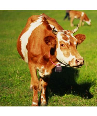 7 pack Grazing Copper Bells Metal Cow Bells for Dogs Animal Copper Loud Bronze Bell Small Brass Bell for Cow Horse Sheep Cats Small Pets Anti-Theft Accessories (Bronze) - Buy Online on GoSupps.com