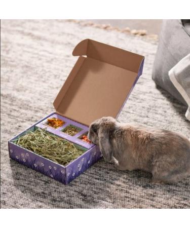 Sweet Meadow Farm Bunny Bento Box - Papaya & Marigold