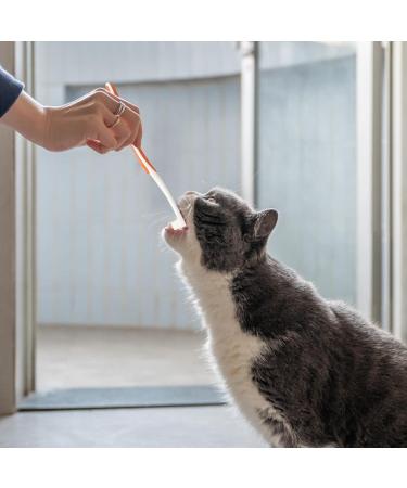 Dog Toothbrush Kit Dog Toothpaste and Brush Set - Puppy Toothpaste and Toothbrush Cats Dogs Finger Toothbrush Vanilla/Beef Flavor Available Xinhuan B: Beef Flavor - Buy Online on GoSupps.com