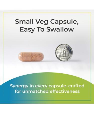 Synergy Holistics | Cell-Fuel Synergy - Mitochondrial Formula - Enhance Energy Cognitive Function and Cardiovascular Health - CoQ10 (Ubiquinol) Acetyl L-Carnitine Alpha Lipoic Acid NAC and MicroPQQ - 60 Veg Caps - Buy Online on GoSupps.com