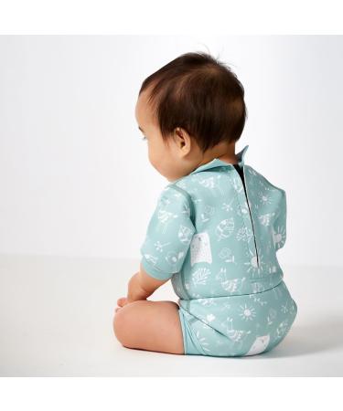 Splash About Happy Nappy Wetsuit - Sunny Bear, 3-6 Months - Buy Online on GoSupps.com