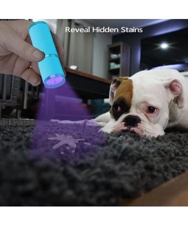 Leagy 2-Pack Mini UV Flashlight - 9 LEDs Pet Urine Detector for Dogs & Cats Detects Stains Banknotes & Bed Bugs (Blue) - International Shipping Available - Buy Online on GoSupps.com